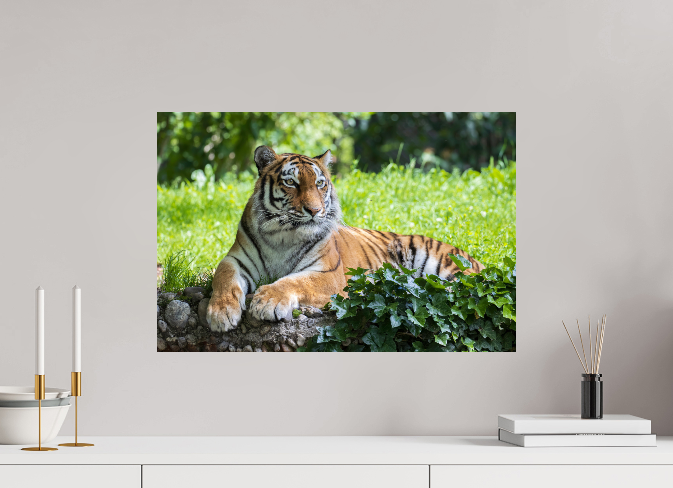60 x 40 cm, Fine Art Print auf Alu-Dibond Resting Predator