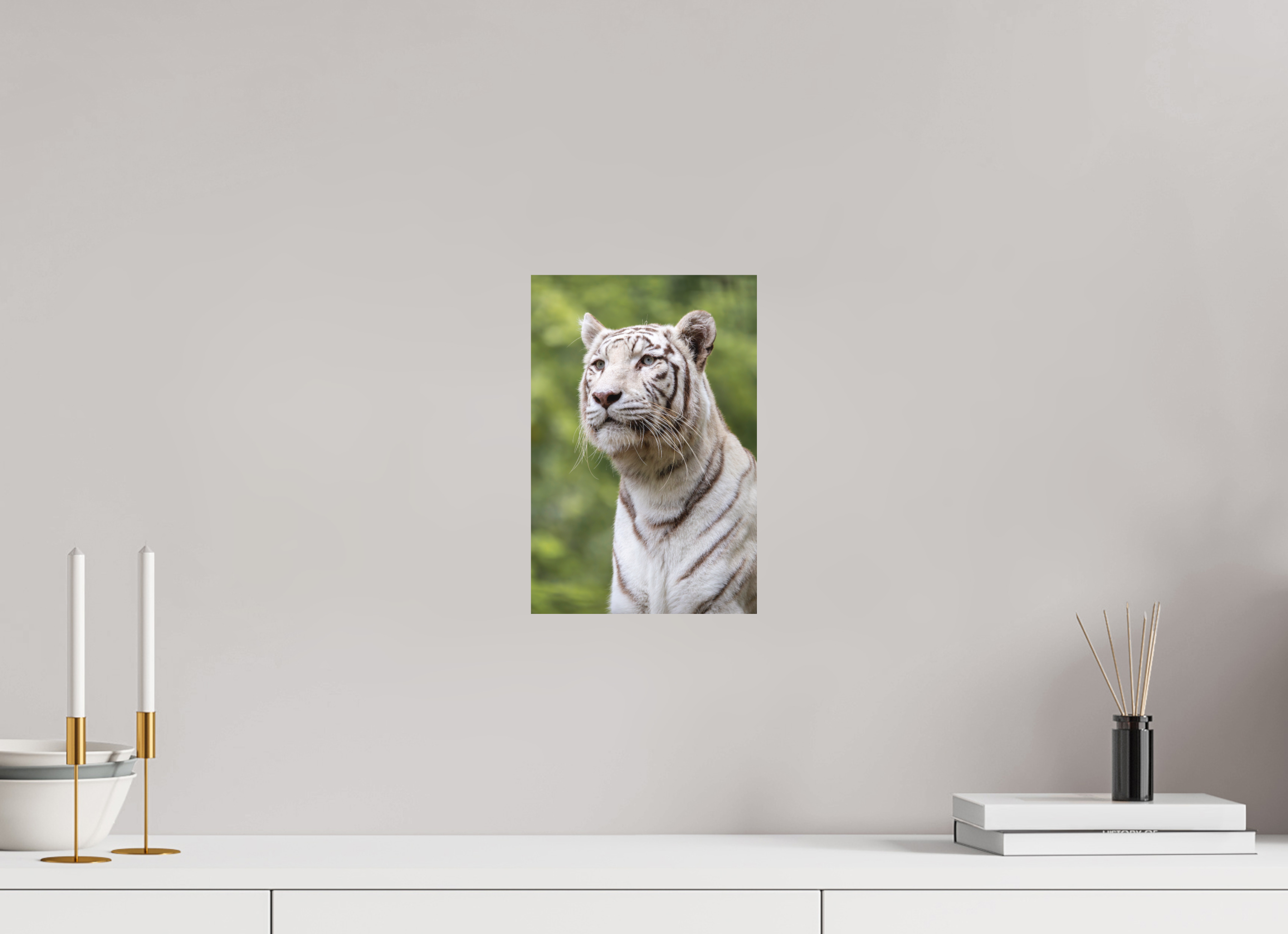 20 x 30 cm, Fine-Art Print Matt Gaze of the White King
