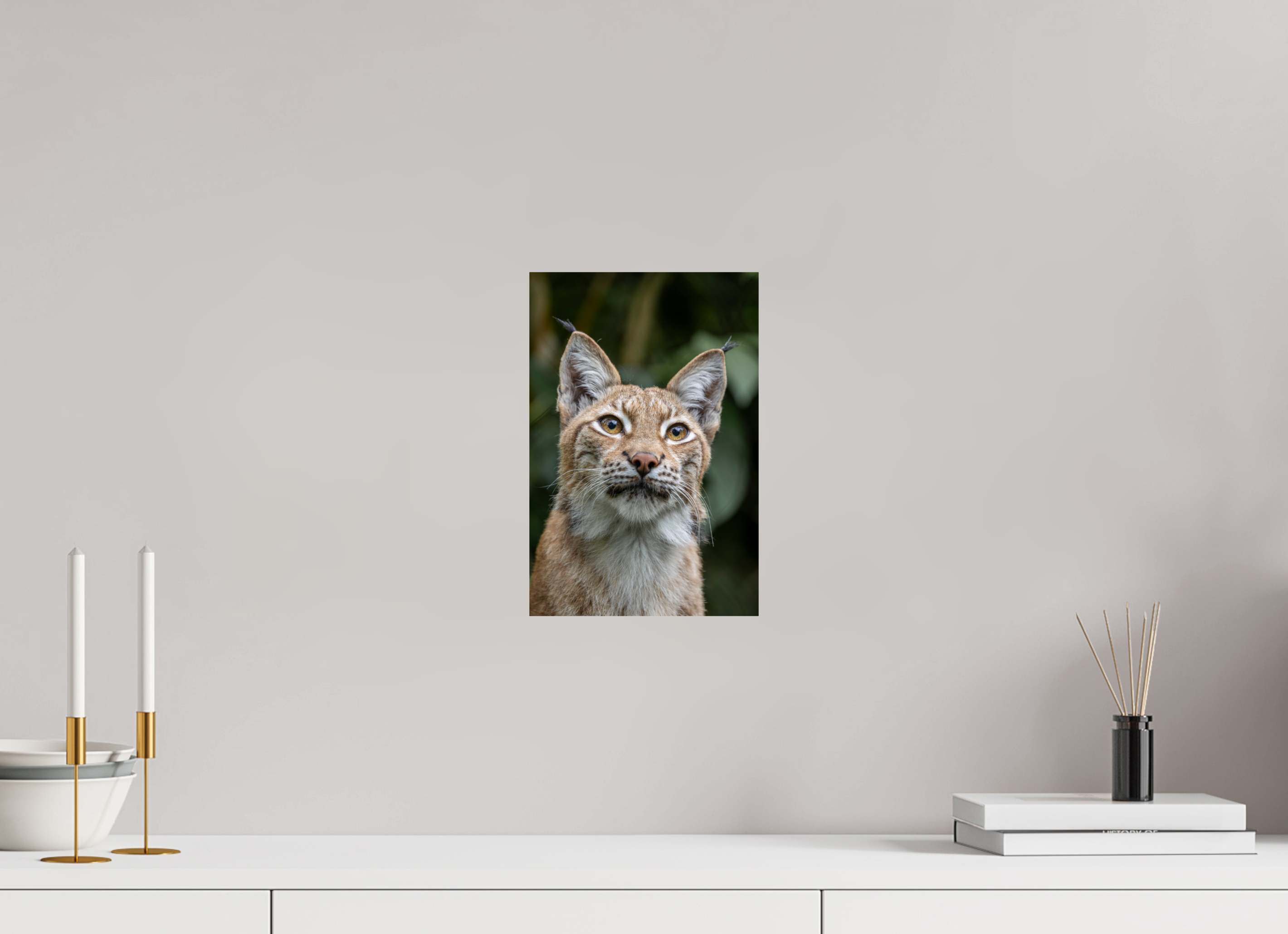 20 x 30 cm, Fine Art Print auf Alu-Dibond Forest Eyes