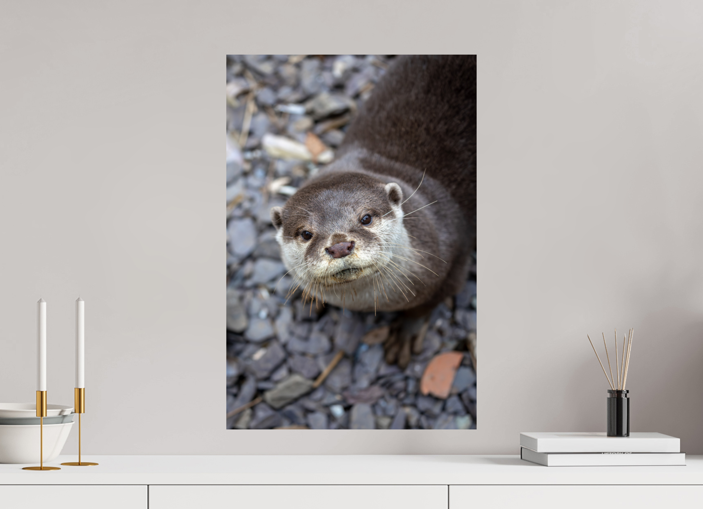40 x 60 cm, Fine Art Print auf Alu-Dibond Hello There