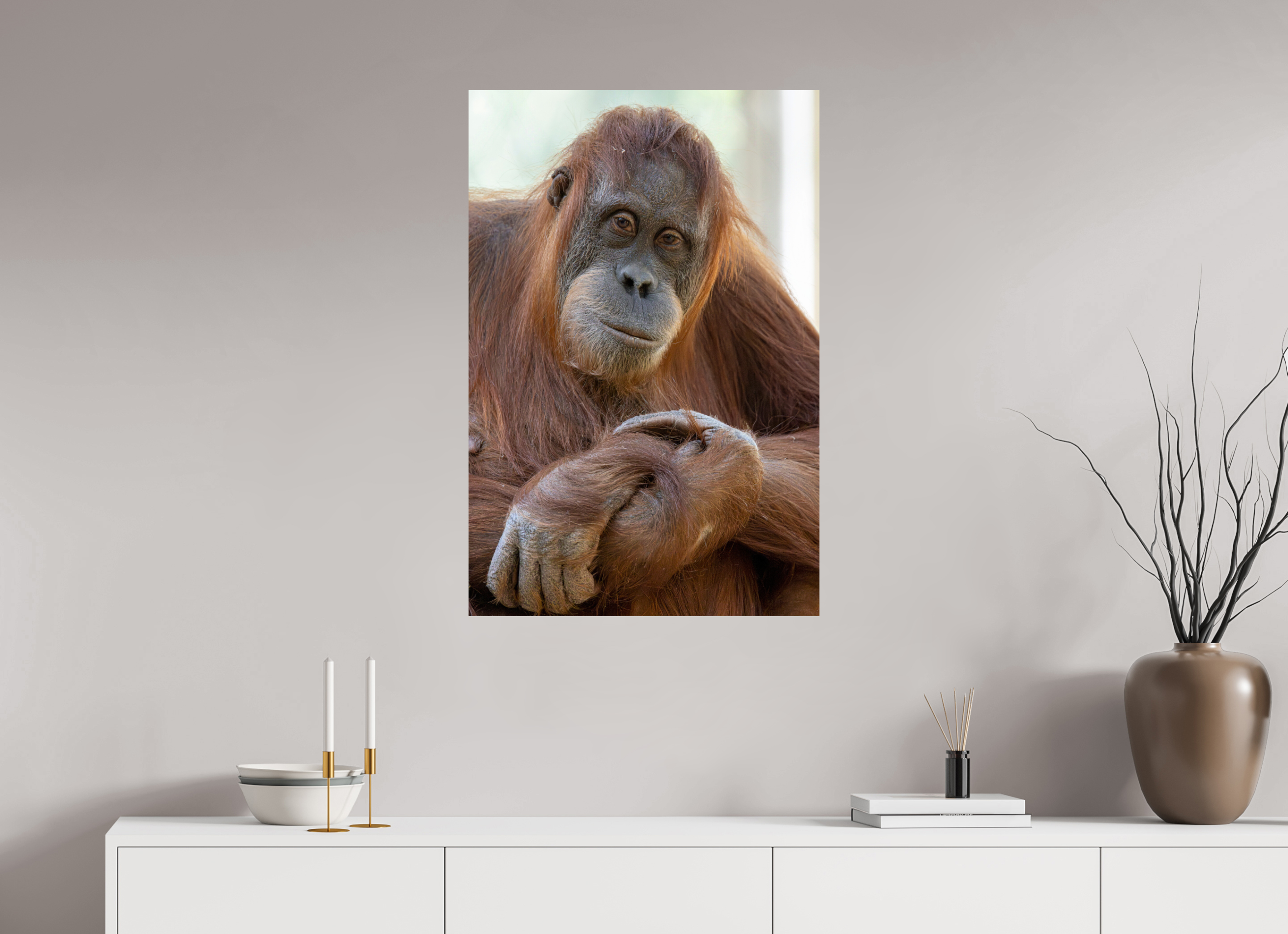 60 x 90 cm, Fine Art Print auf Alu-Dibond Soulful Gaze