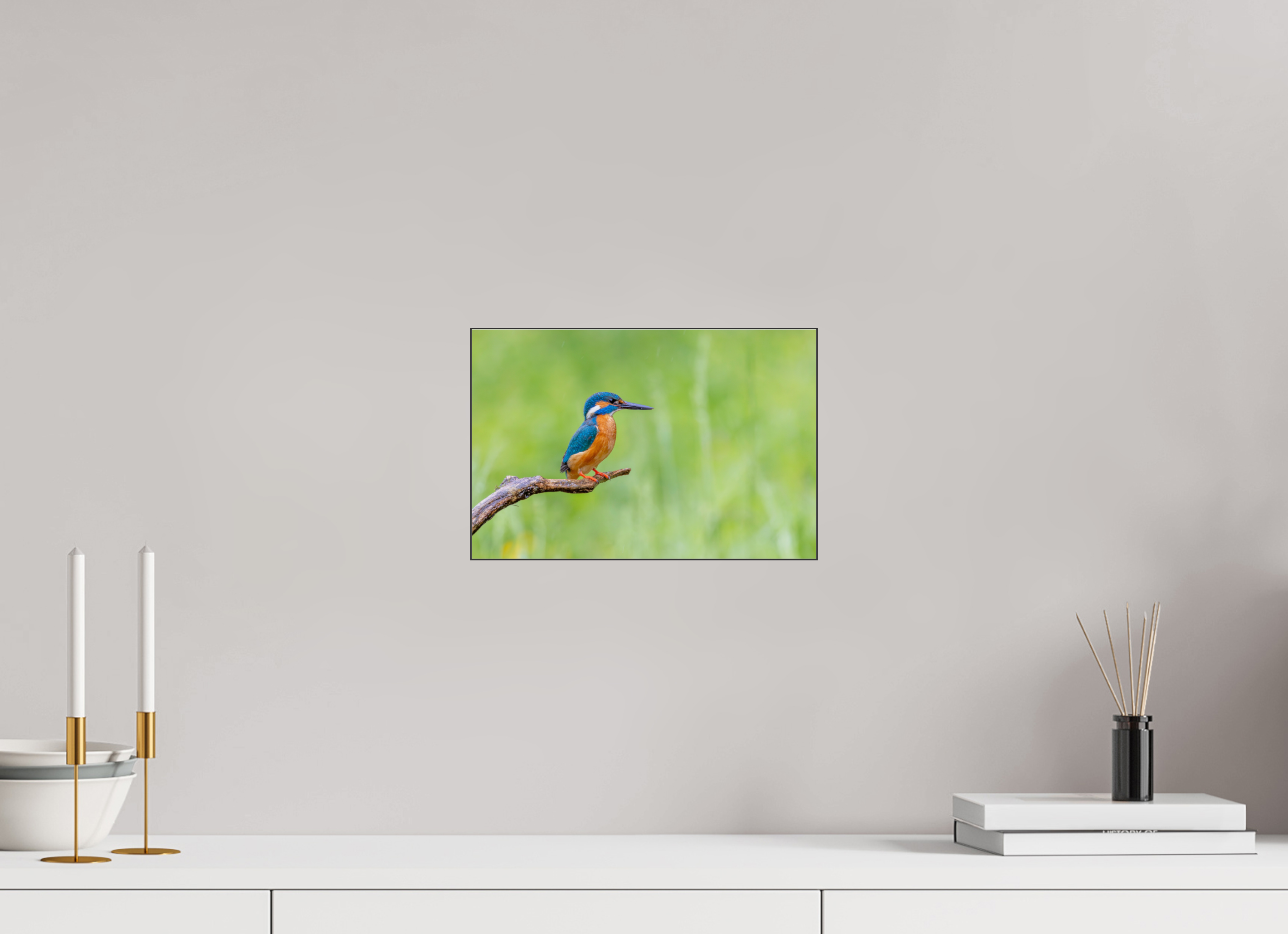 30 x 20 cm, Foto-Abzug hinter Acrylglas glänzend Silent Watcher