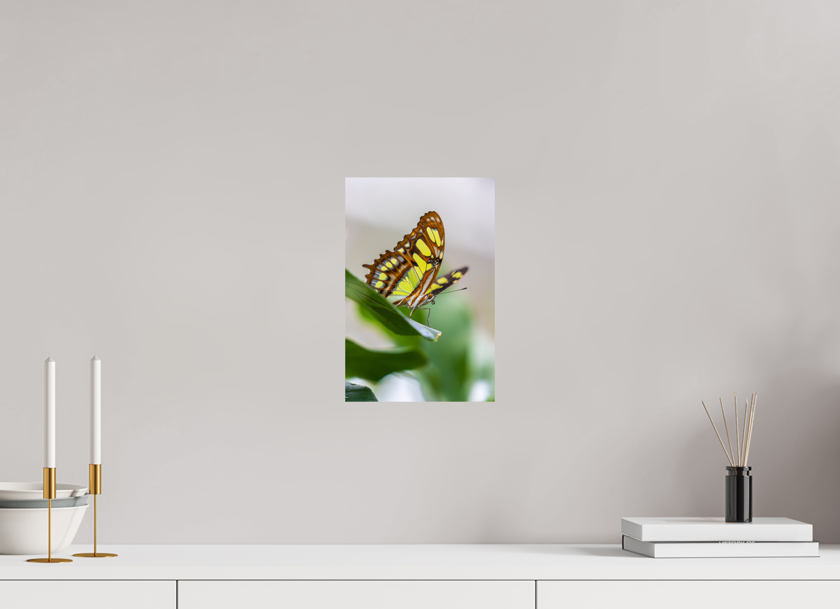 20 x 30 cm, Fine Art Print auf Alu-Dibond Soft Beauty