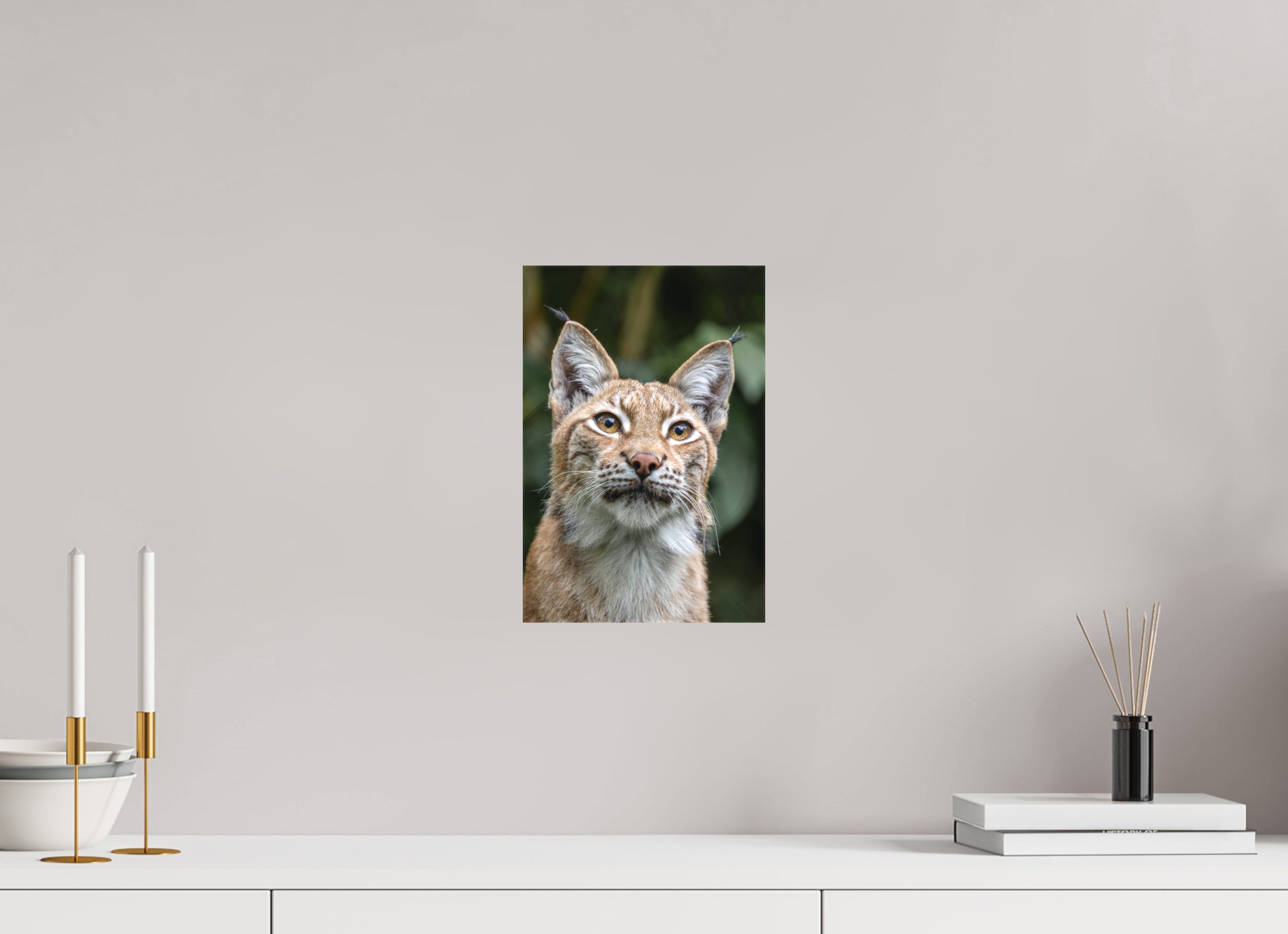 20 x 30 cm, Leinwand Forest Eyes