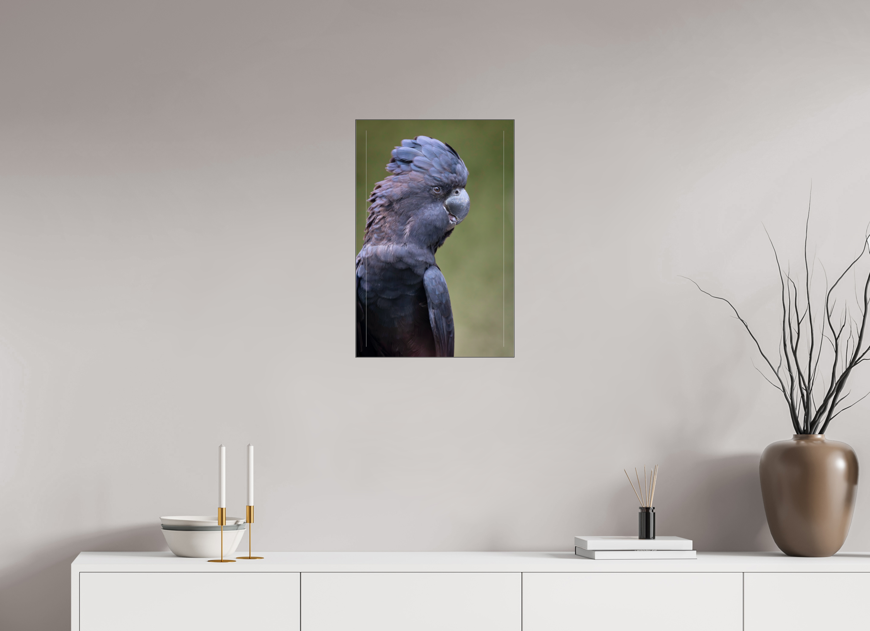 40 x 60 cm, Foto-Abzug hinter Acrylglas glänzend Profile of the Black Cockatoo