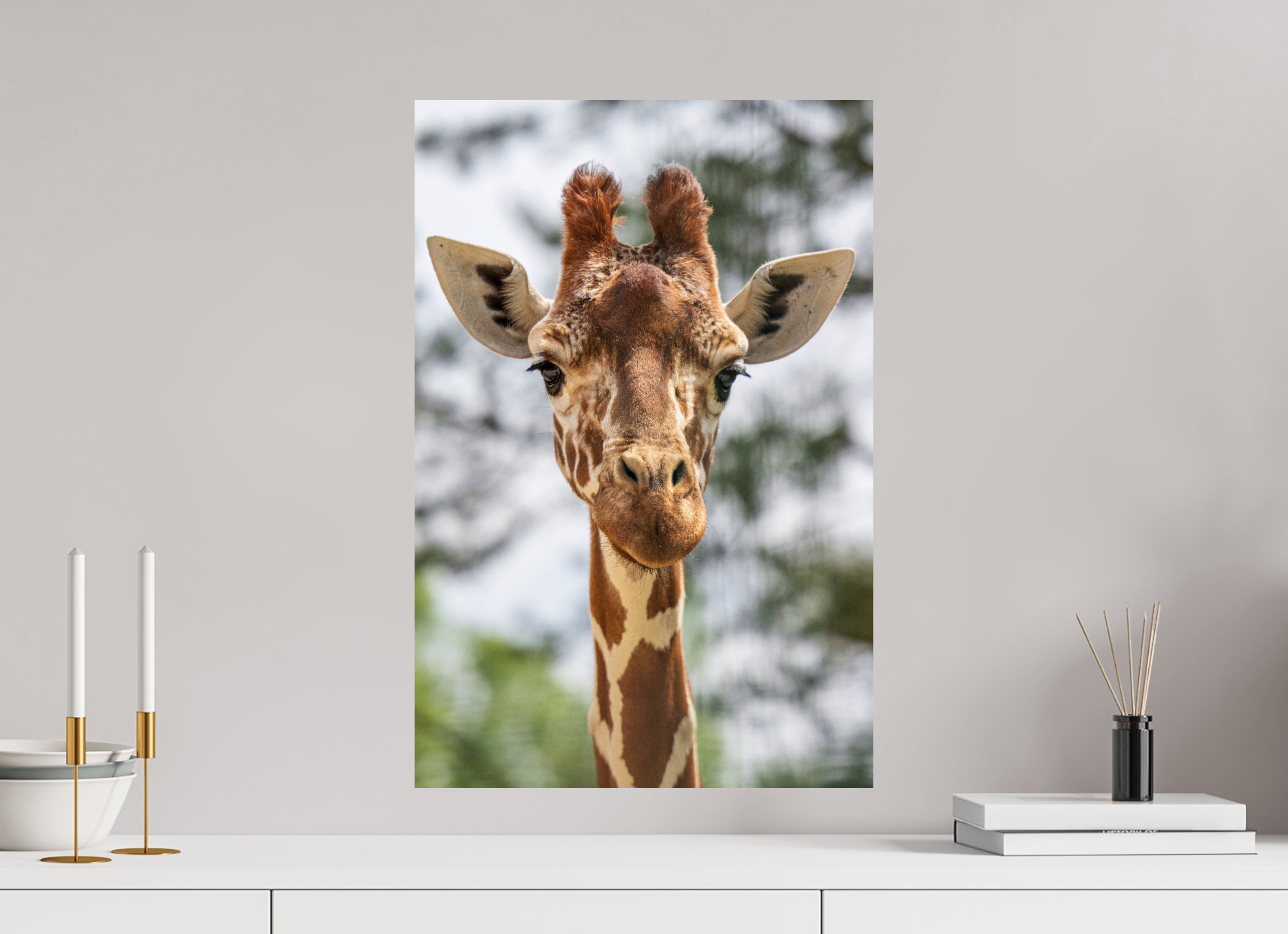 40 x 60 cm, Fine Art Print auf Alu-Dibond Savanna Soul